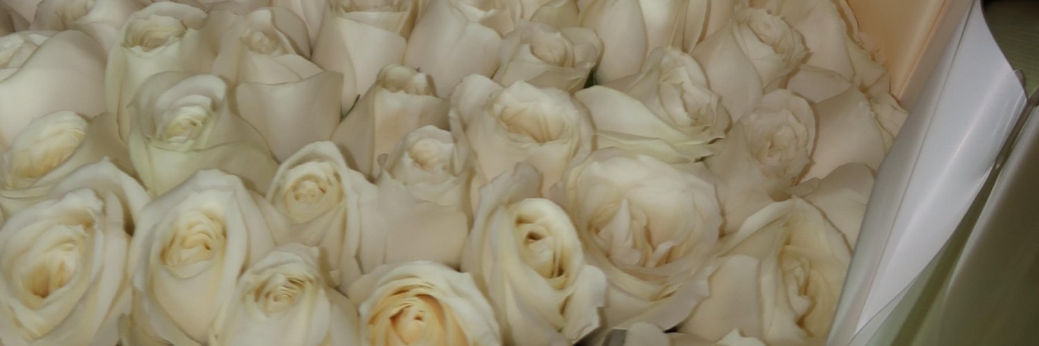 ElideGentile's profile banner image
