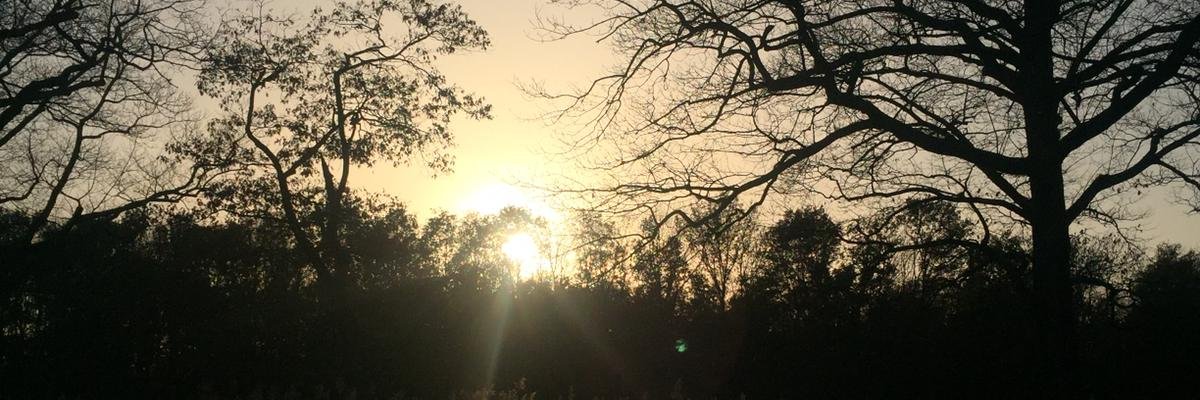 KoenWuite's profile banner image