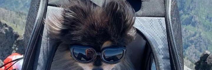 devidal_slim's profile banner image