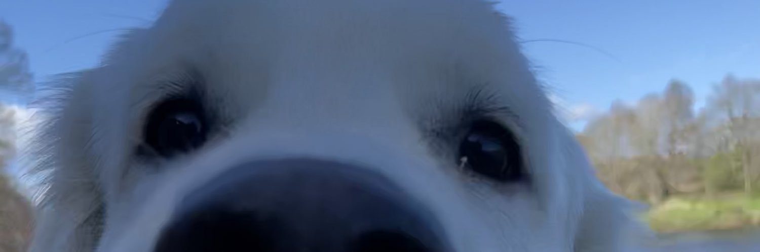 islafummey's profile banner image