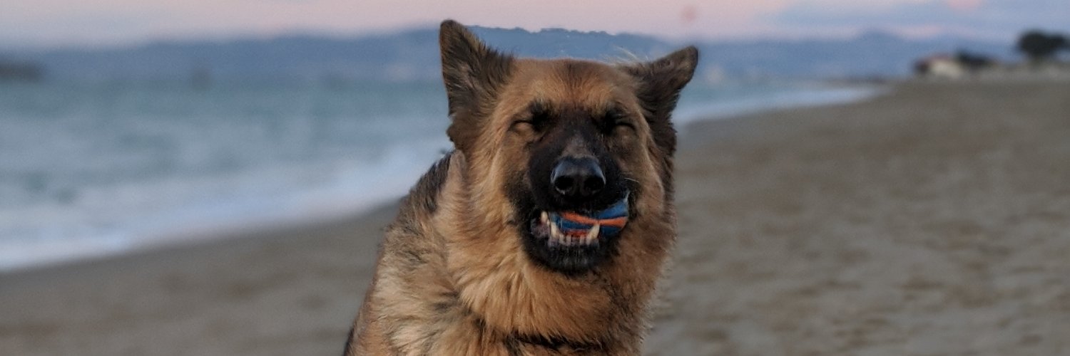 Ben Xiao 蕭宇力 banner