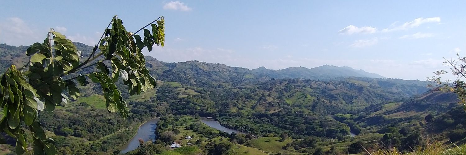 Danfe11354's profile banner image