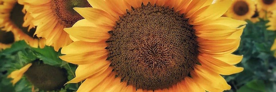 Ale7_23's profile banner image