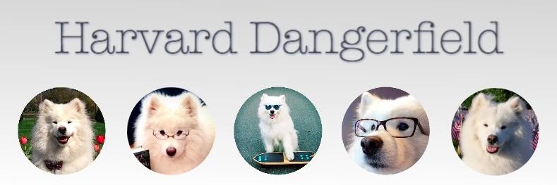 HarvardDanger's profile banner image