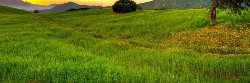 evrivebriani's profile banner image