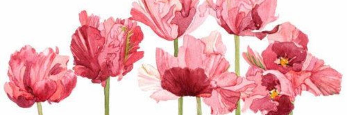 leticiavsb's profile banner image