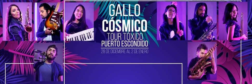 gallo_cosmico's profile banner image