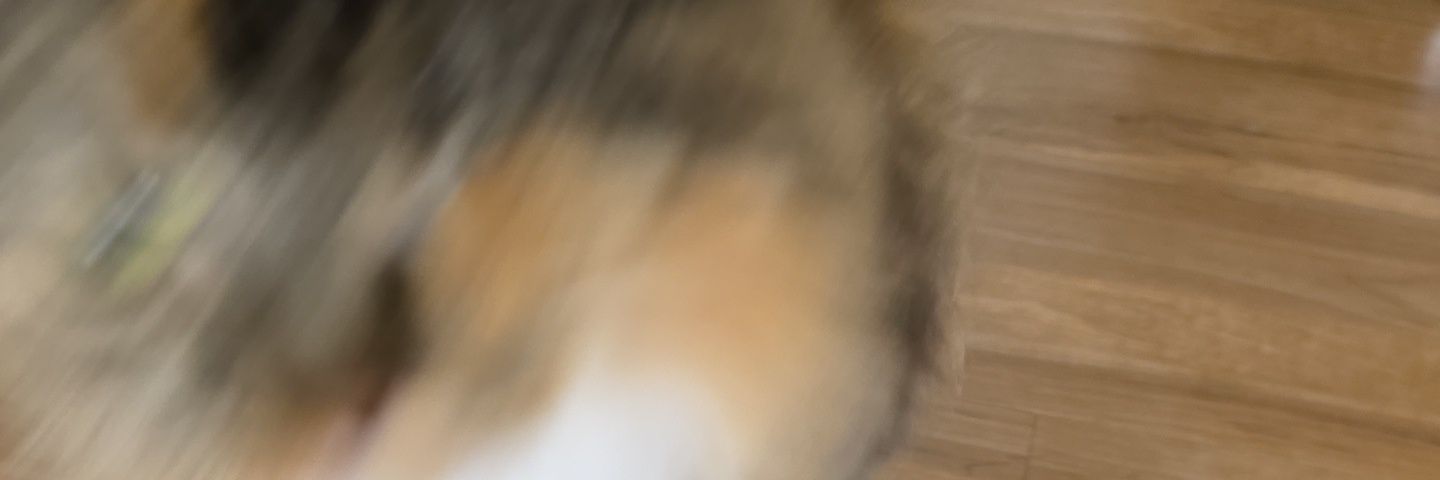 basiliskcreator's profile banner image