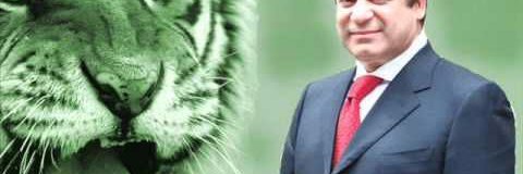 UkashaMohammed's profile banner image