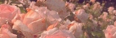 Mathamoment's profile banner image