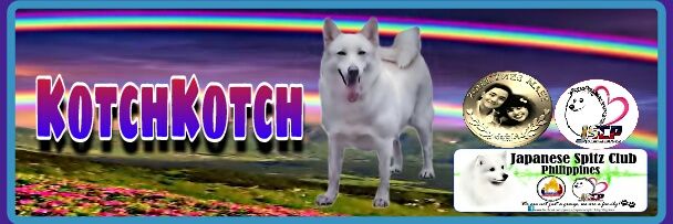 Mʜᴇʟ Lᴏᴘᴇᴢ ₛₑₙₜᵢₑ₂₀₁₆ banner