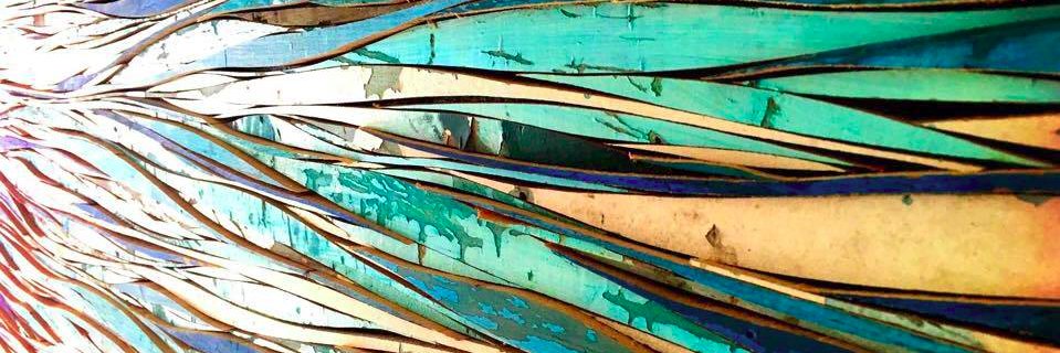 Pointy Bird, O. banner