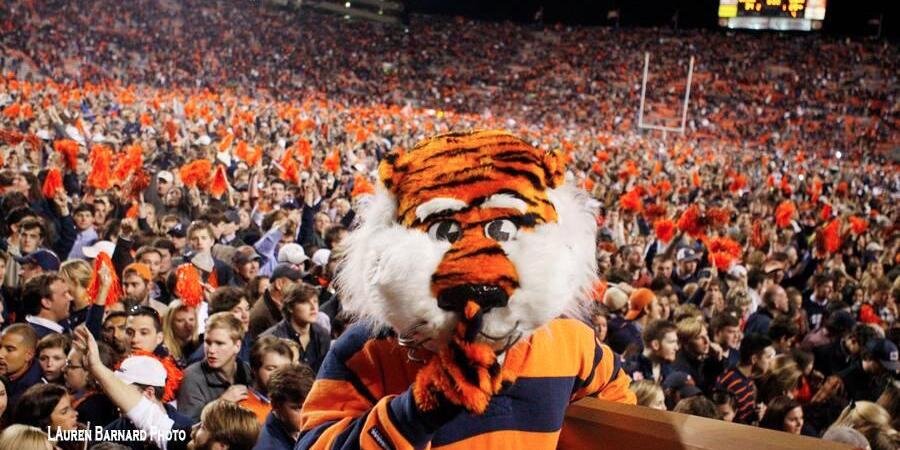 MikeLJohns's profile banner image
