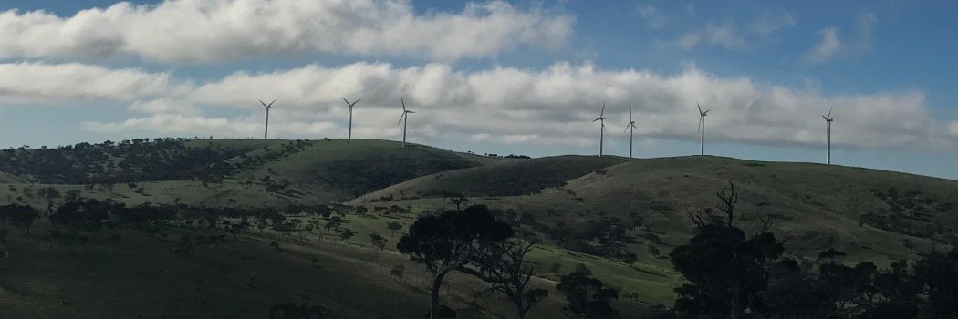 Stephanie Doyle banner