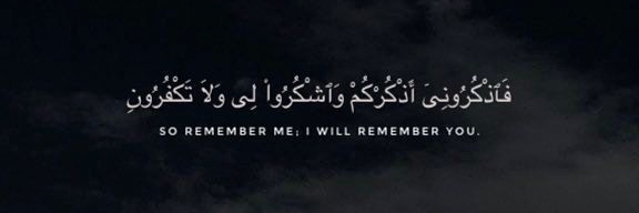 𝓓𝓲𝓭𝓪 banner