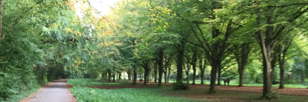 a__de__groot's profile banner image