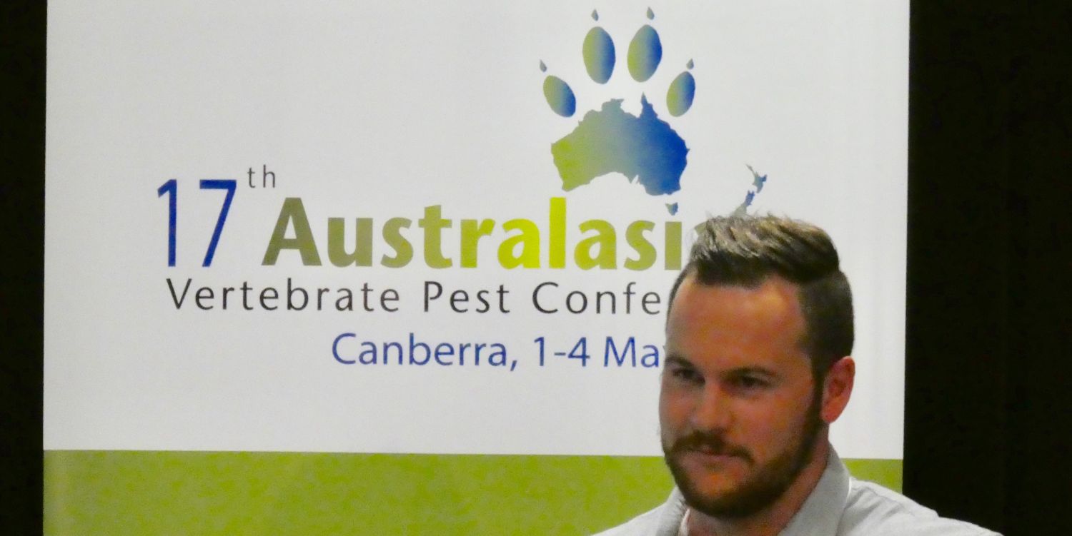 Ben Stepkovitch banner