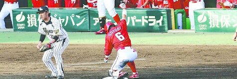 KK829Carp's profile banner image