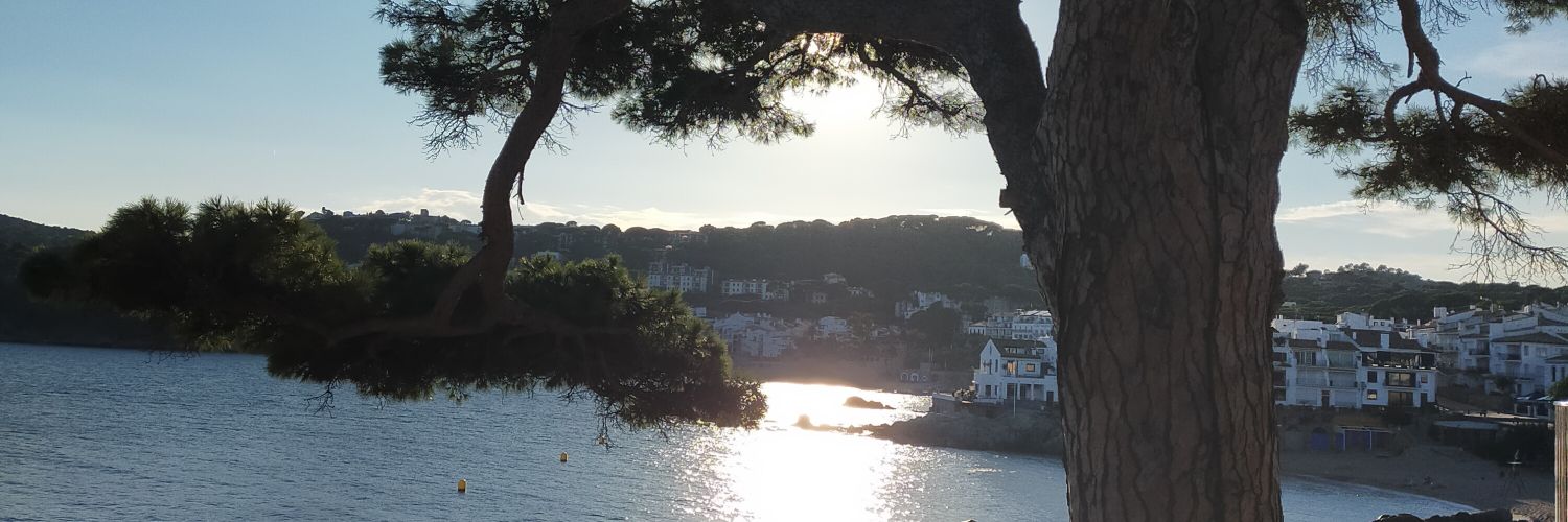 NCasals's profile banner image