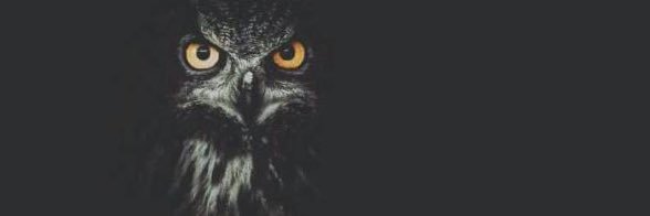 wheezper's profile banner image