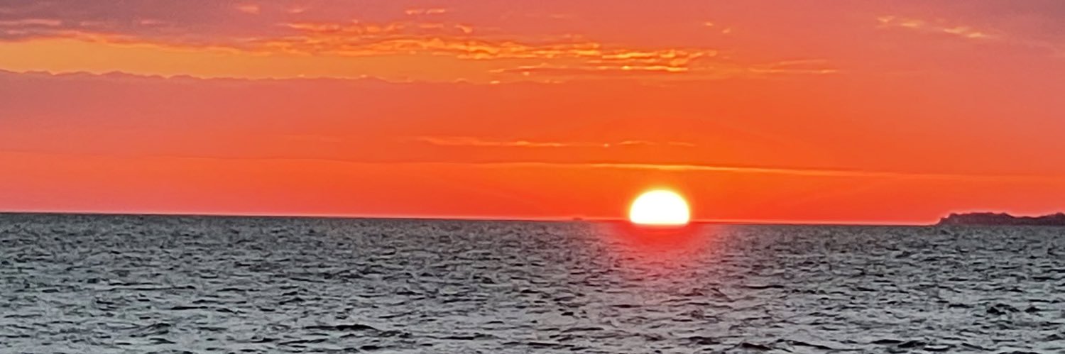 ReneReichl's profile banner image