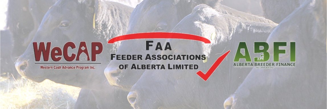 Feederassoc's profile banner image
