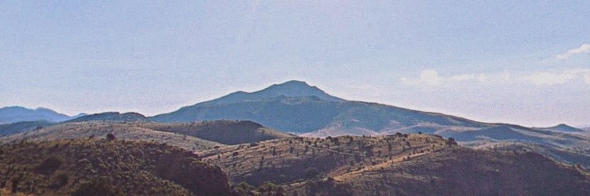 Cameron Everett banner