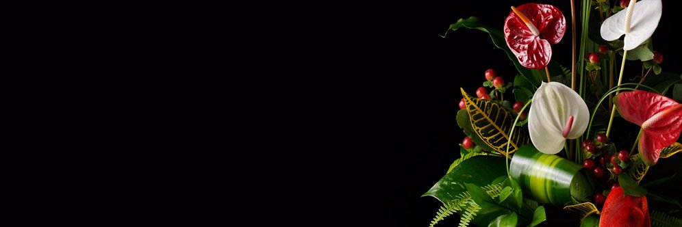 Bumblebeez Florist banner