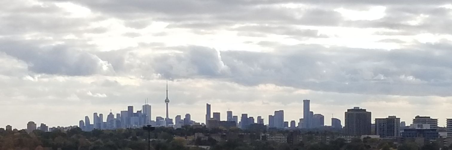 Steve Roberts banner