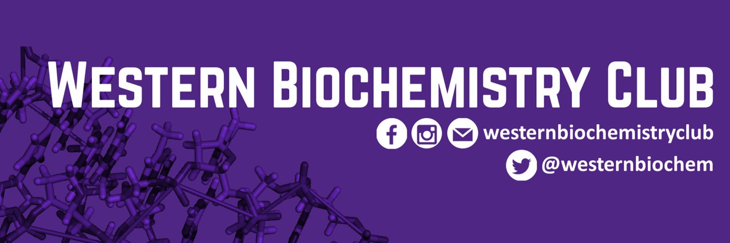 westernbiochem's profile banner image