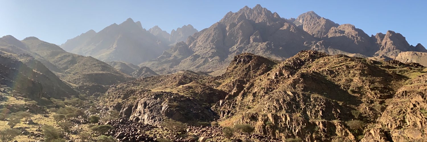 د.محمد القبساني banner