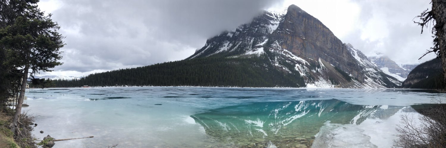 Nallely Ortigoza banner