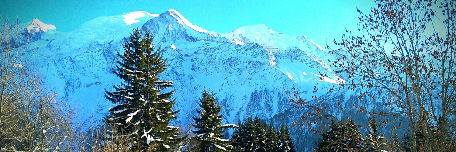 AlexandreChaut's profile banner image