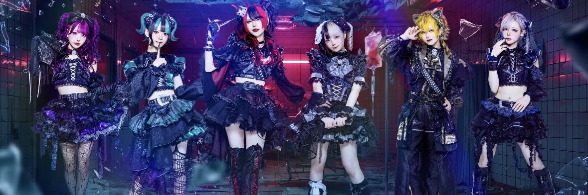 野良猫/のらねこ banner