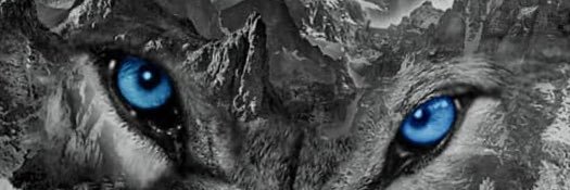 Babipanda2's profile banner image