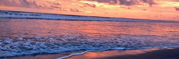 MusingGee Profile Banner