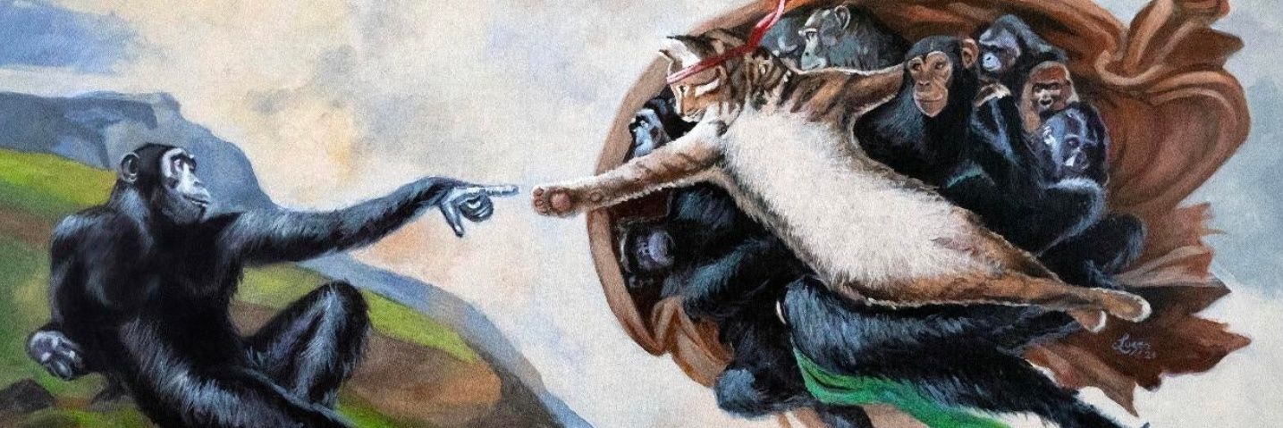 puplo3's profile banner image
