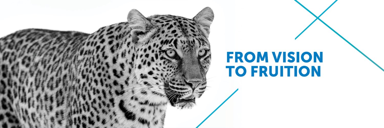 Cliffe Dekker Hofmeyr banner