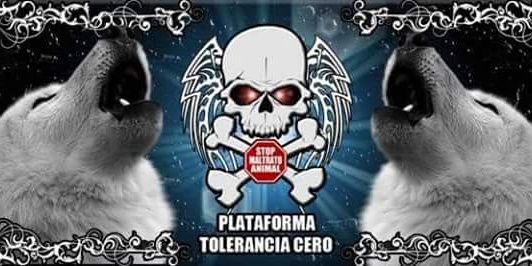PTCAnimalista's profile banner image