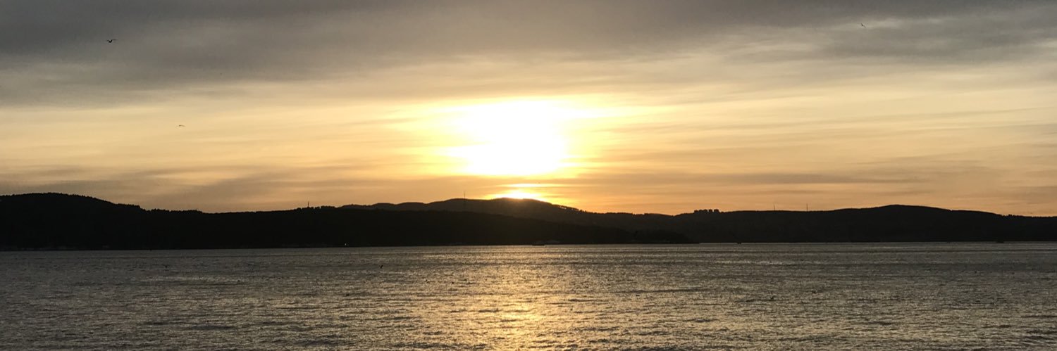 Alpert199's profile banner image