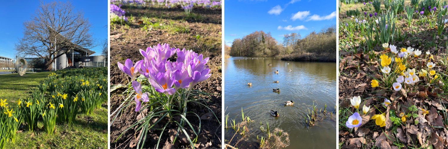 Warwick Insite banner