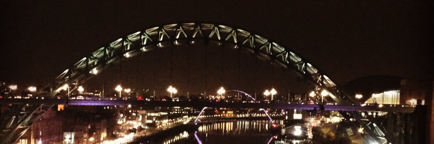 HayleyPurdy's profile banner image