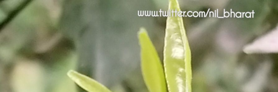 Nil_bharat's profile banner image