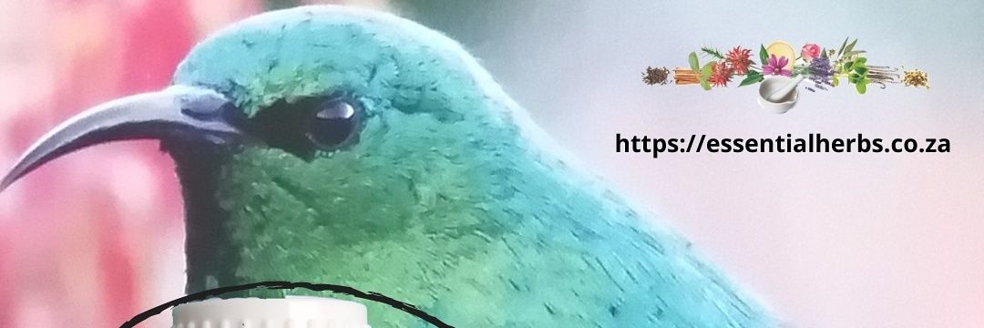 EssentialHerbs1's profile banner image