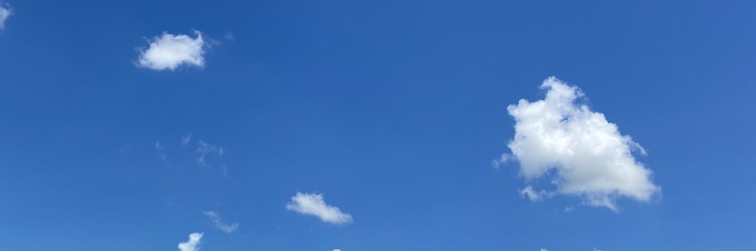 srygrn's profile banner image
