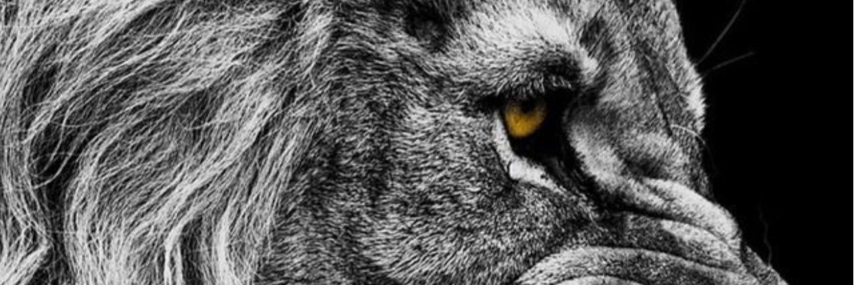 lauracoyyy's profile banner image