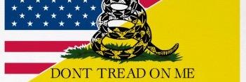 SomeFishingGuy's profile banner image