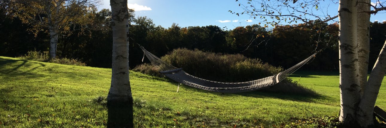 Jenn Strawbridge banner