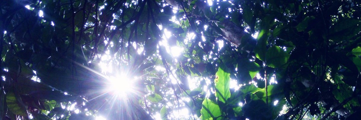 ks_yolanda's profile banner image