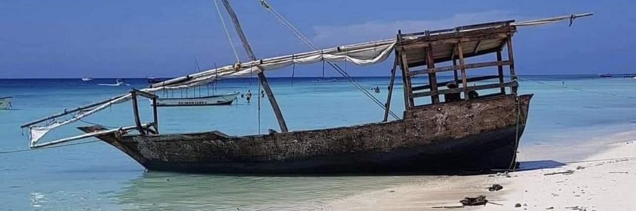 MACLumi's profile banner image